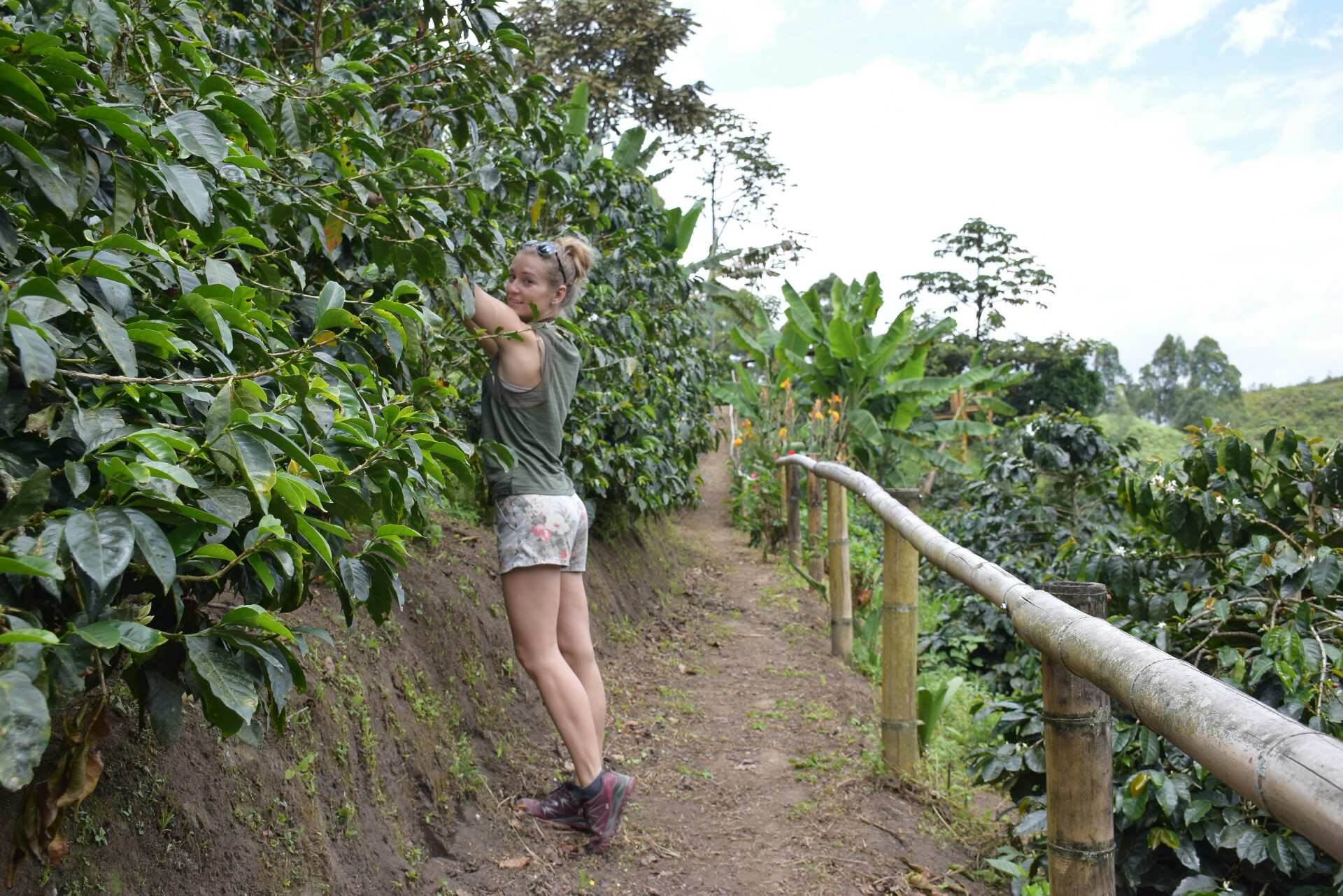 coffee tour in salento