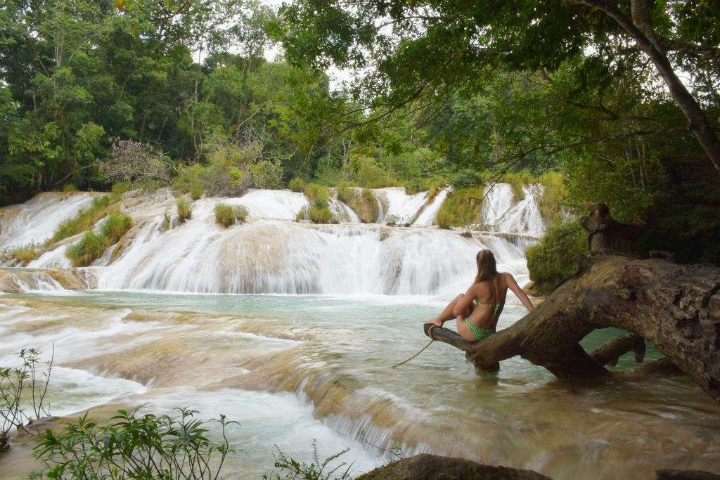 Palenque waterfalls Roberto Barios