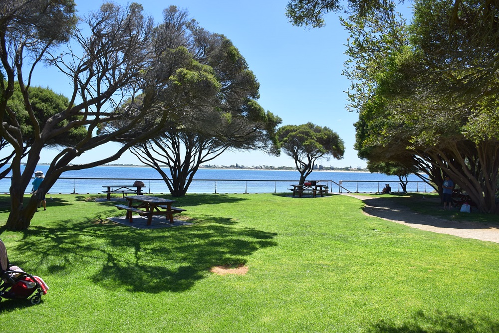 The Picnic area on penguin Island!