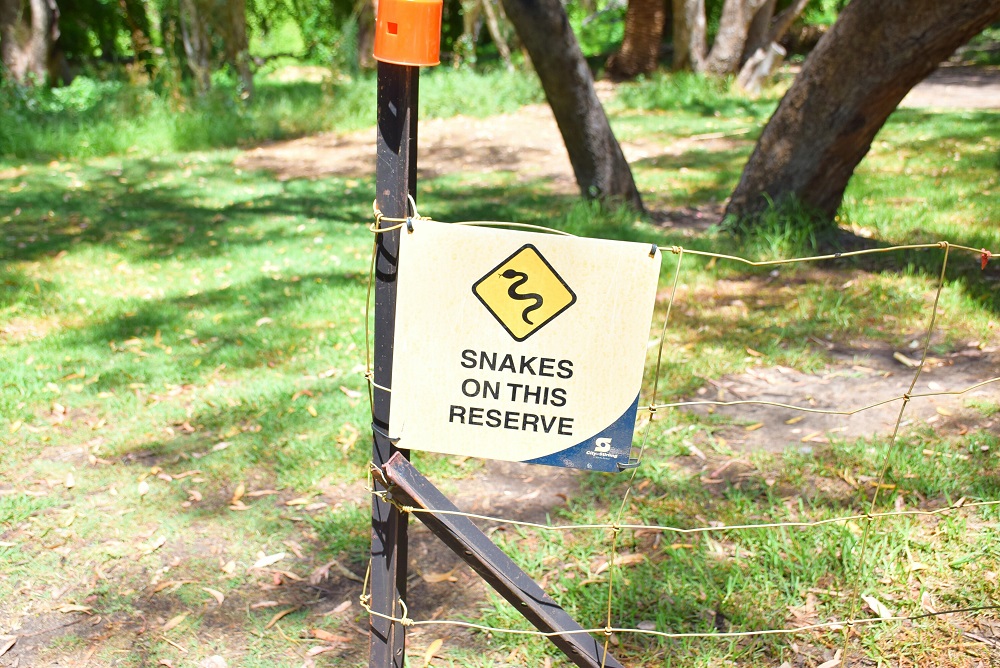 there are snakes at the secret garden in Perth