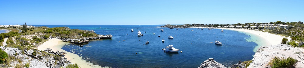 guide to rottnest island day trip
