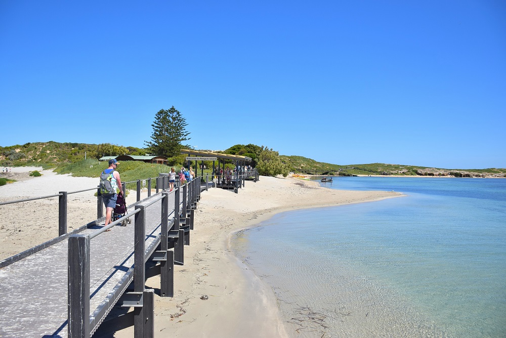 Penguin Island Perth jetty