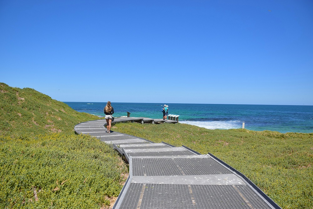 The Penguin Island, Perth boardwalk 