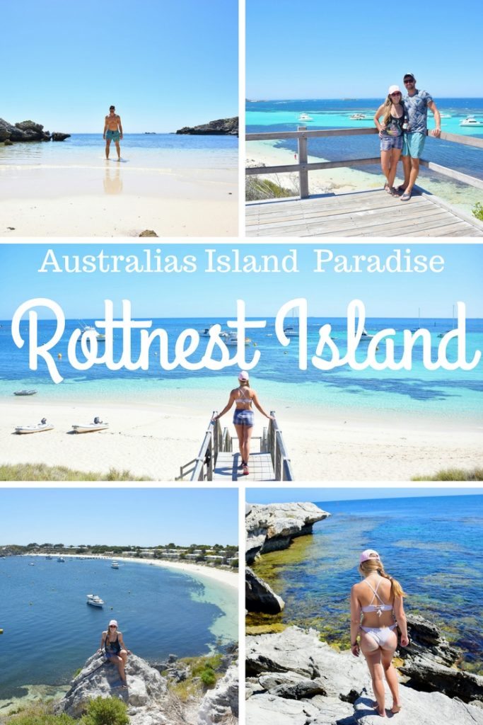 Rottnest Island day trip pinterest