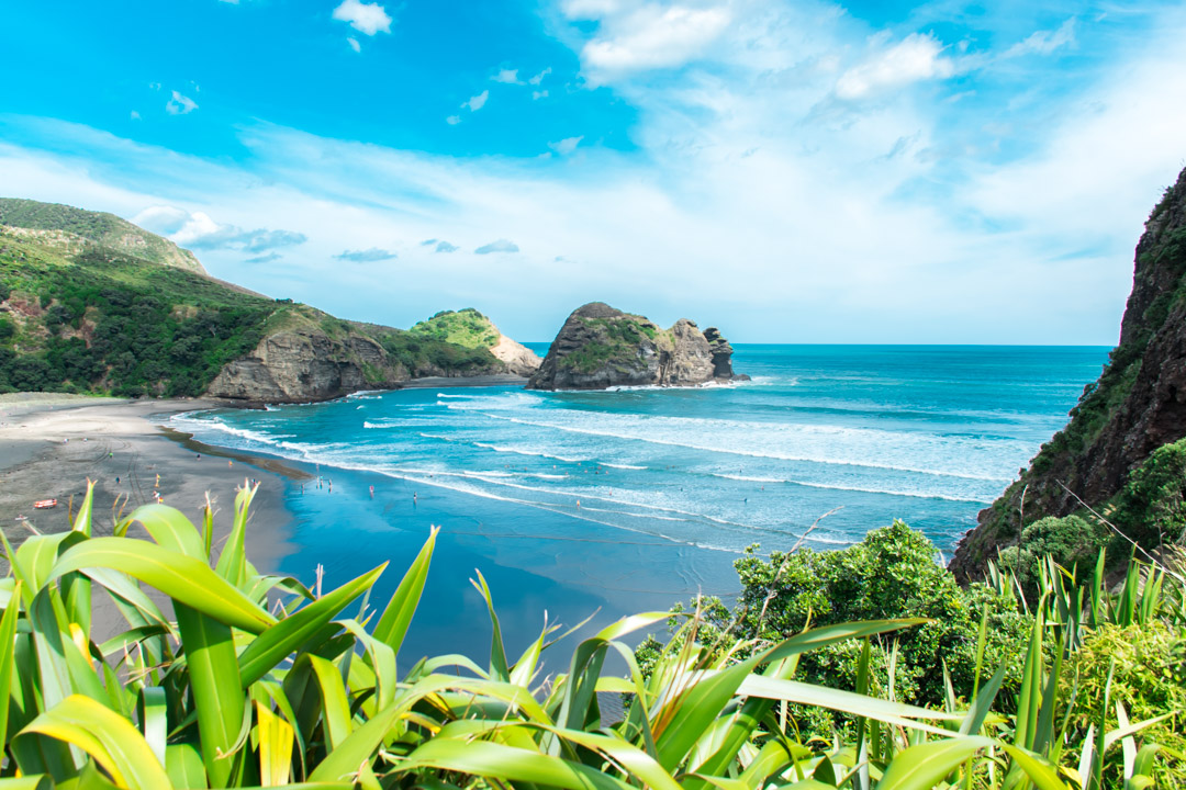 Piha beach near Auckland city