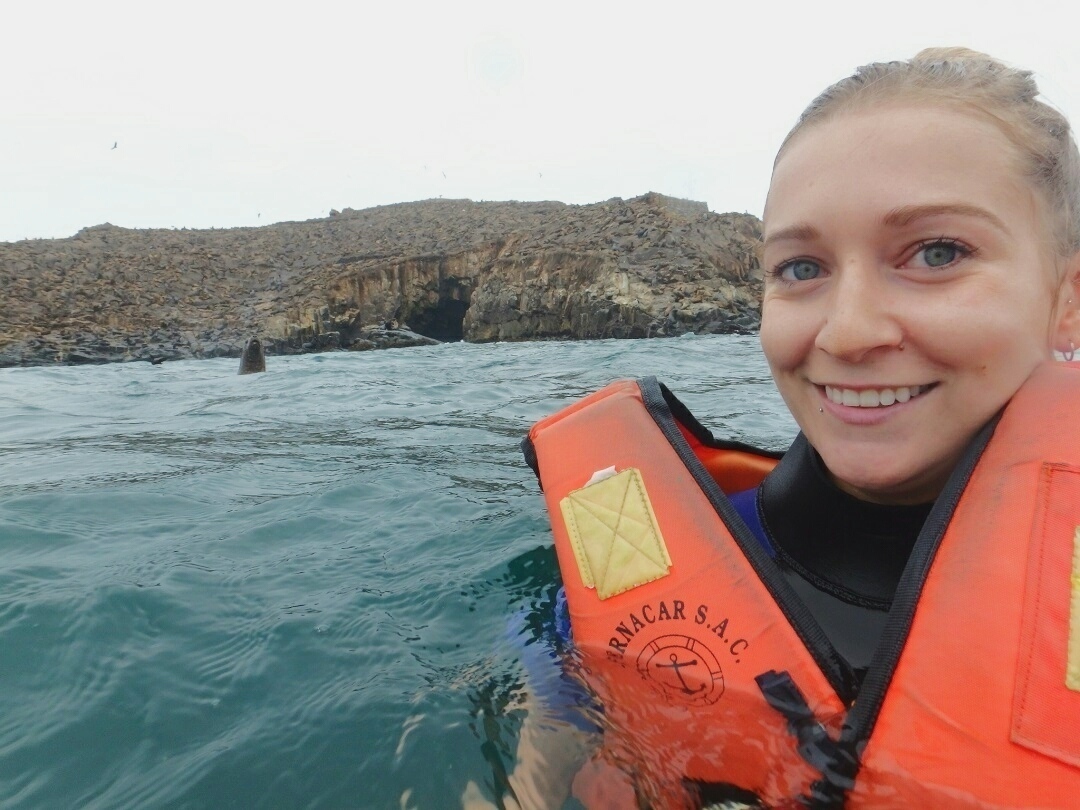 swimming with the sea lions in lima