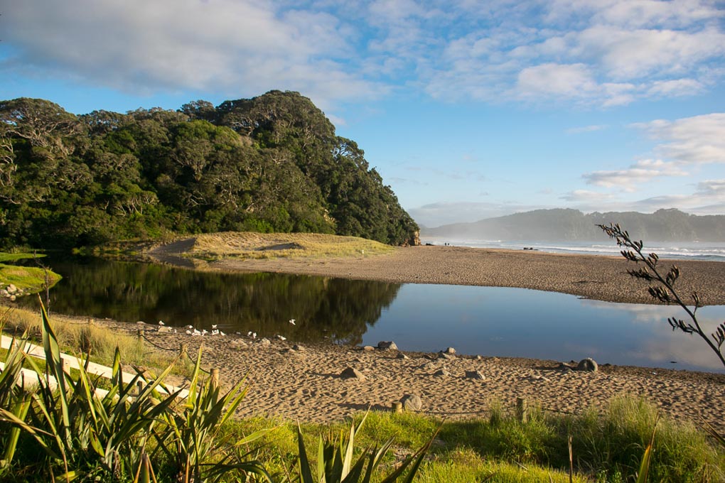 The view of Hot Water Beach, New Zealand from the carpark