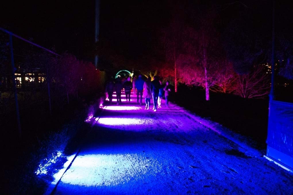 Luma queenstown light festival