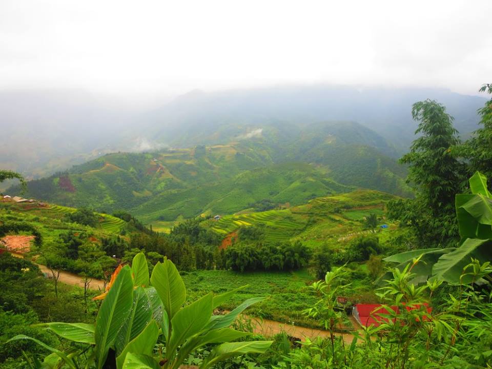 the view from hiking in sapa