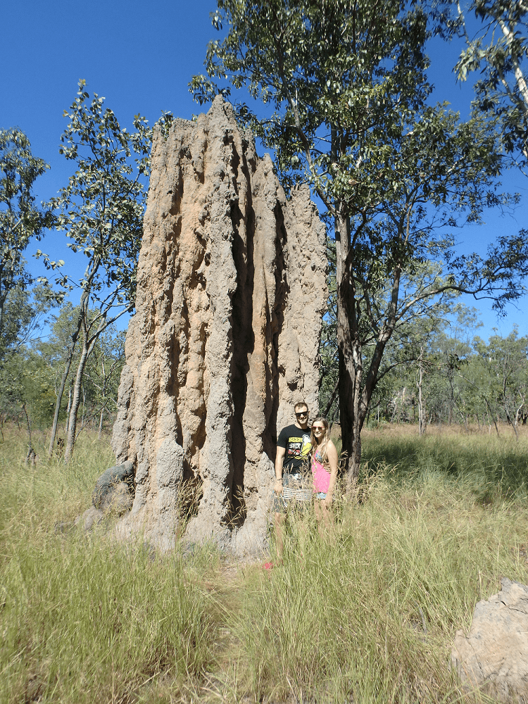 termite mounds in darwin