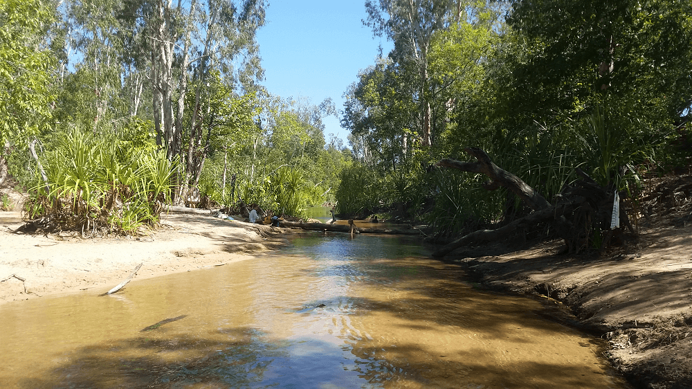 the douglas daly hot springs are another one of the free things to do in darwin