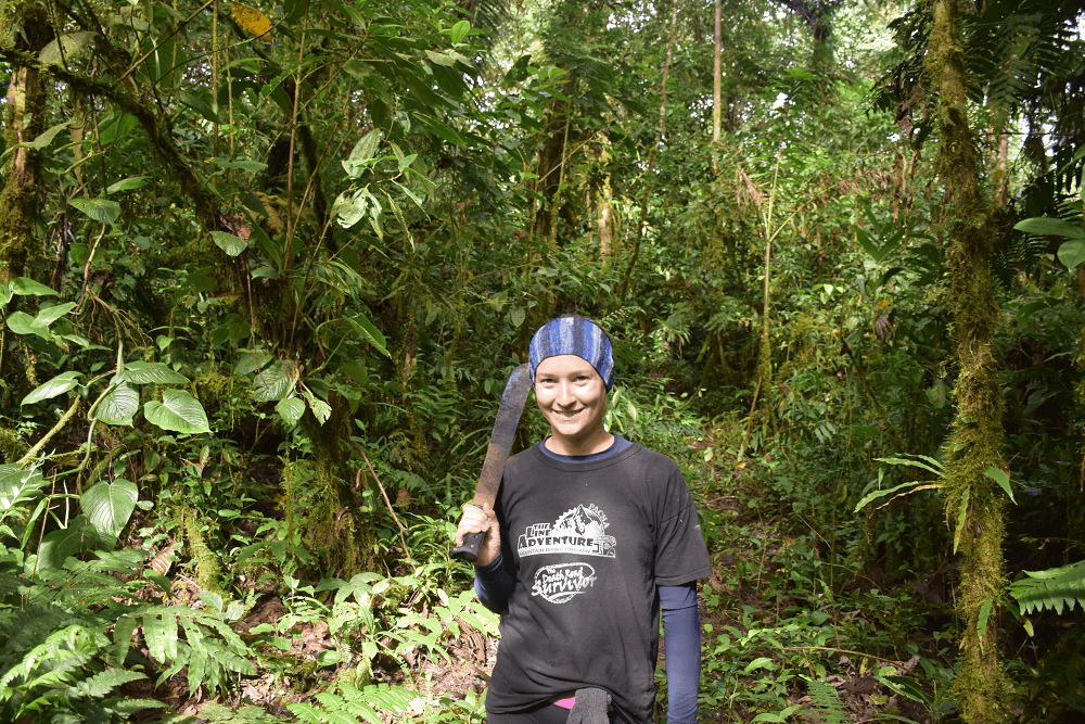 workaway in the amazon