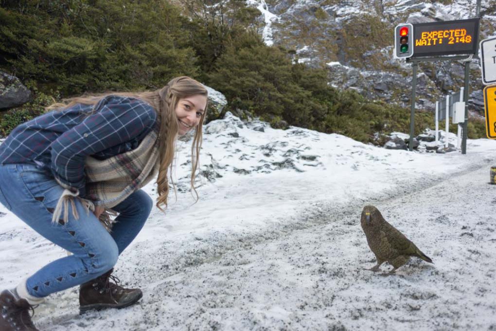 Bailey and a Kea pose for a photo at the Homer Tunnel
