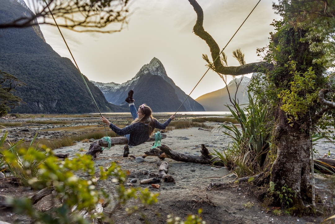 Milford Sound Swing