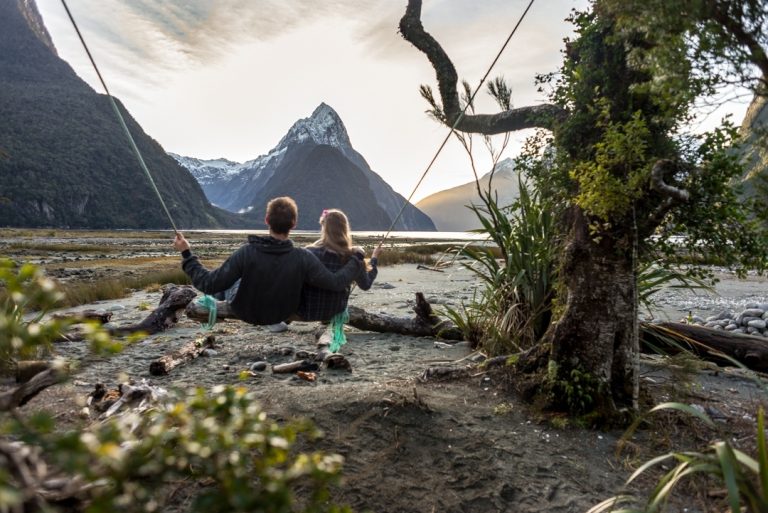 Milford Sound Swing
