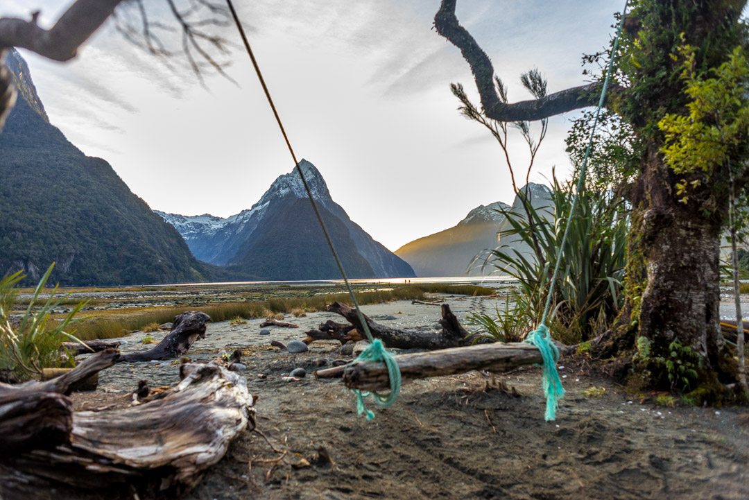 Milford Sound Swing