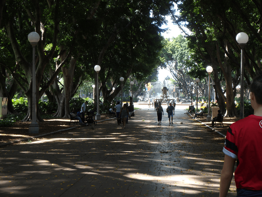 walking in hyde park sydney
