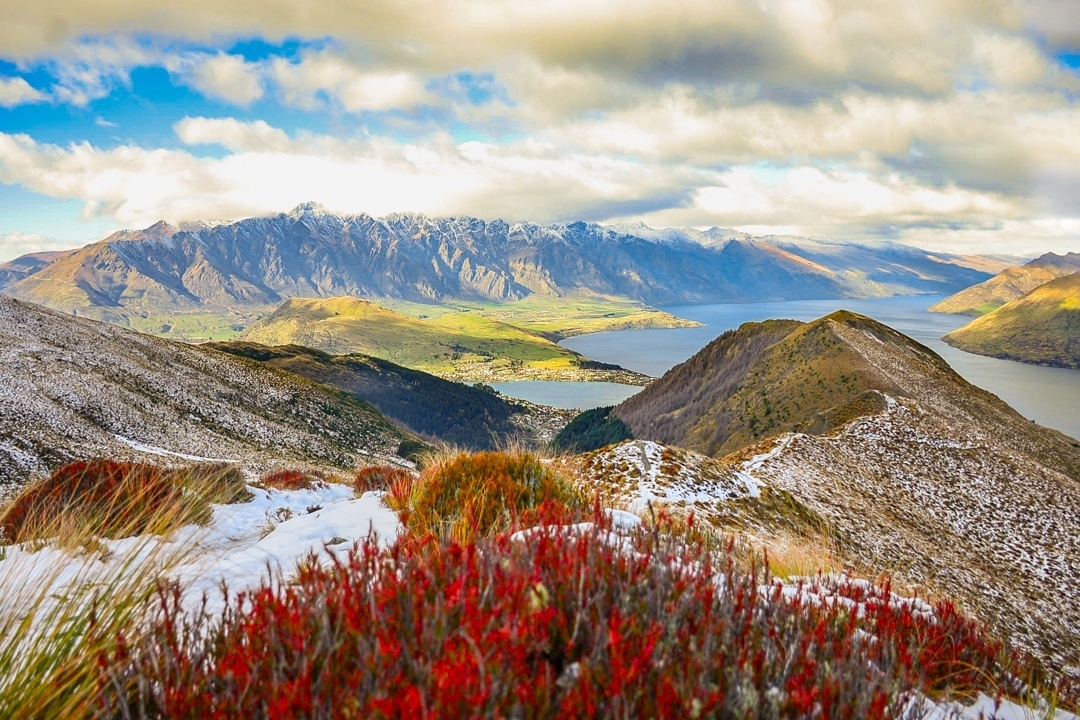 queestown new zealand ultimate travelers guide