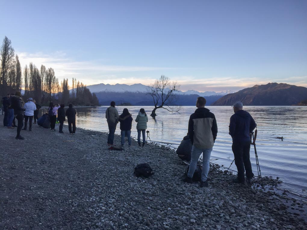 Crowds of People at the Wanak Tree