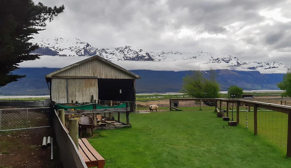 The Glenorchy animal Experience Farm