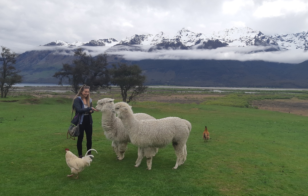 Feeding some of the friendly animals at the Glenorchy Animal Experience with a gorgeous view