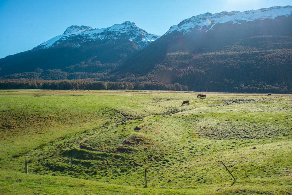 Your looking at the Fangorn Forest near one of the Twin Towers 