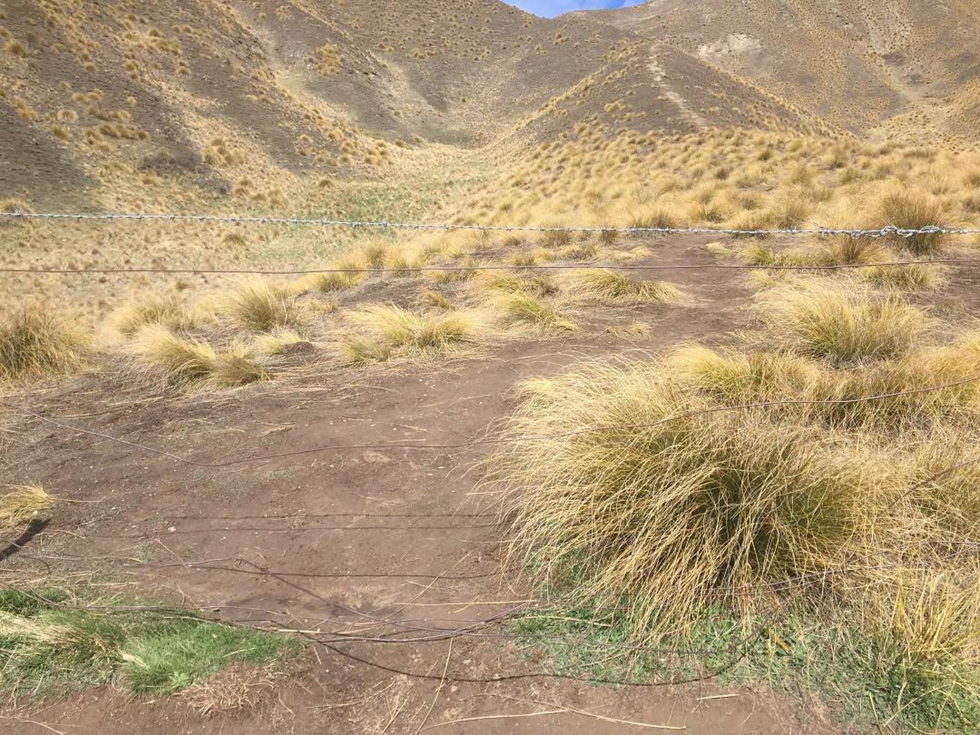Lindis pass fence to lookout trail