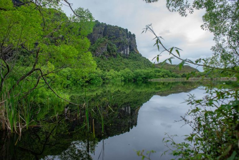 View of diamond lake walk in wanaka, New Zealand