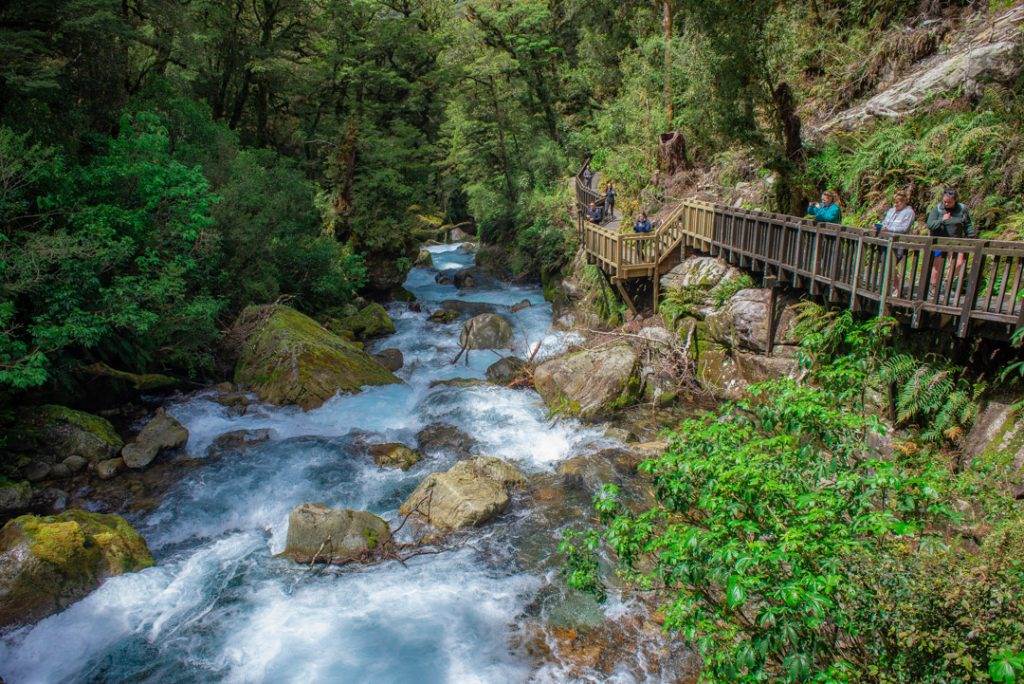 the beginning of the lake marina track