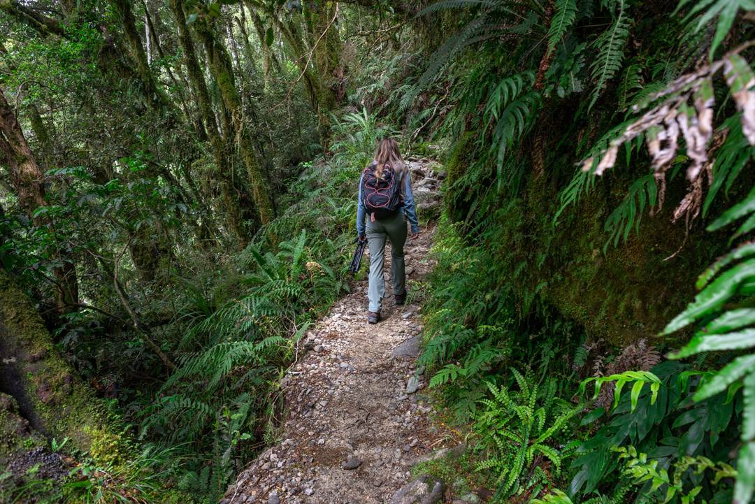 walking along the lake marian track