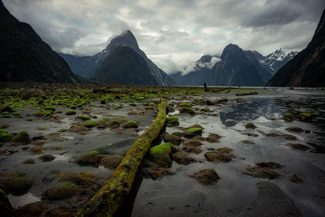 View of Mitre Peak on a moody day in Milford Sound