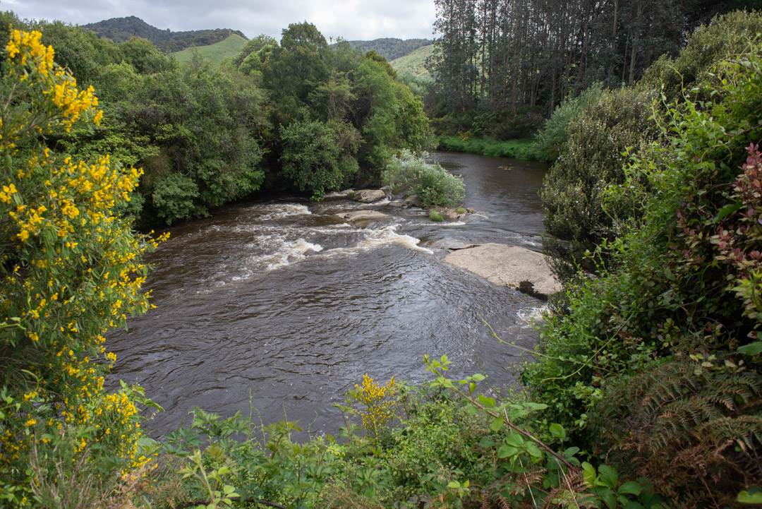 Niagara Falls the Catlins