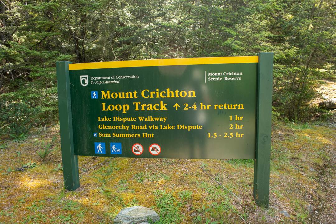 Mount Crichton Loop track