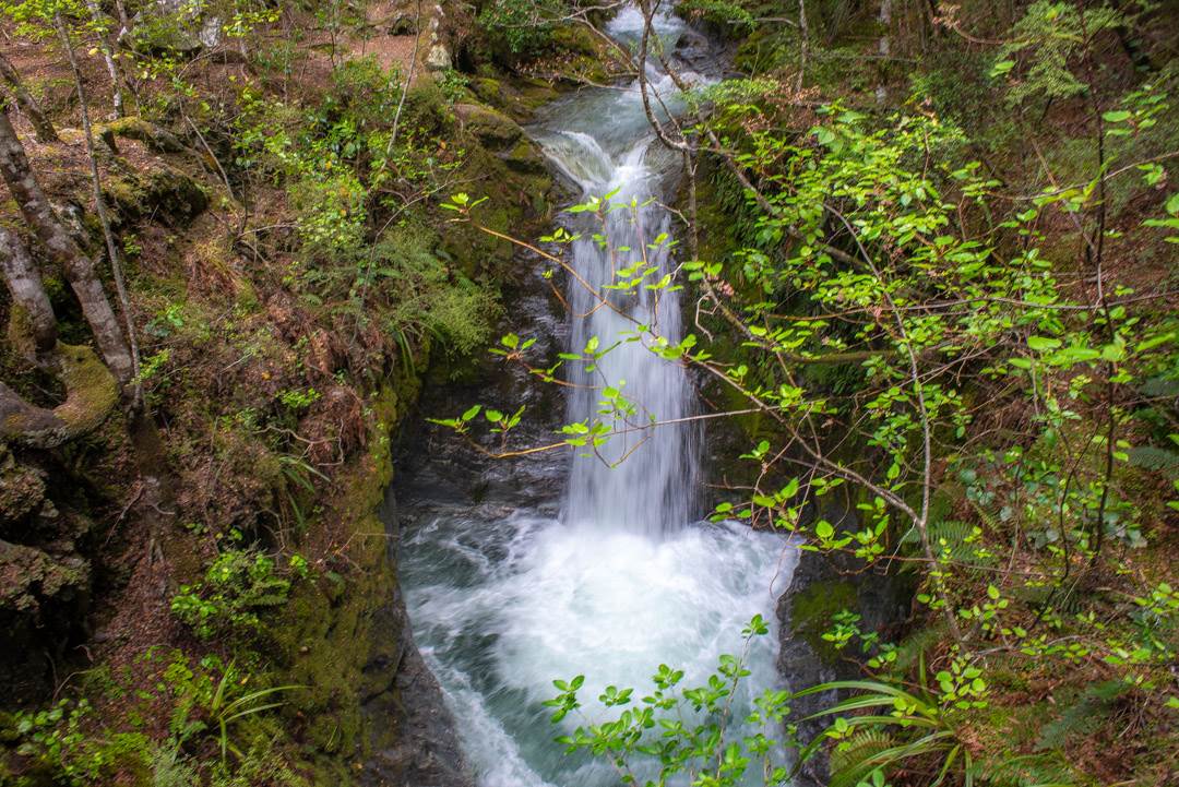Sam Summers waterfall on the mt crichton loop track