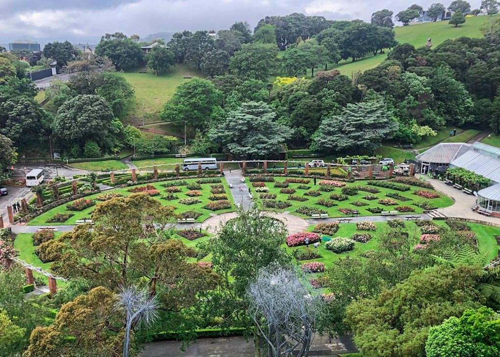 View of the flower garden at the Wellington Botanical Gardens