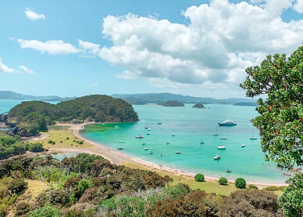 An island in the Bay of Islands, New Zealand