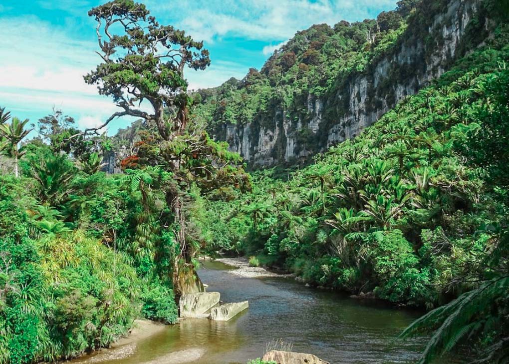 Pororari River track, Punakaiki