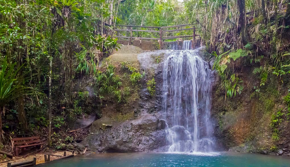 a waterfall in colo-i-suva rain forest natural reserve in suva fiji