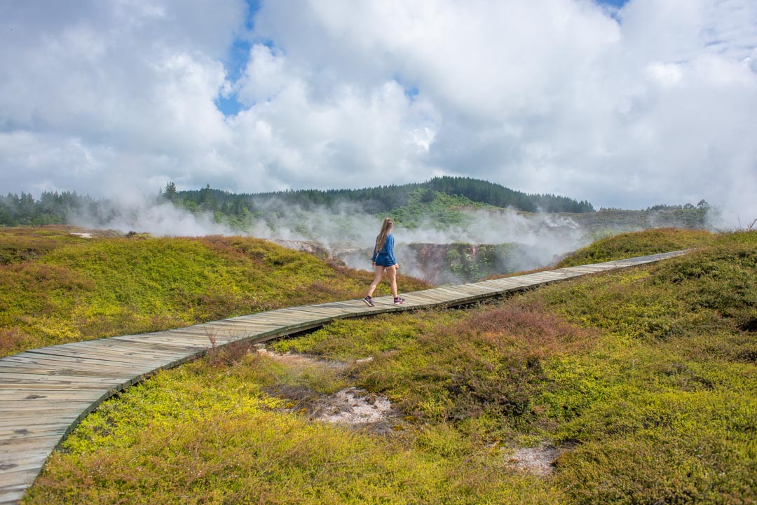 Craters on the Moon Geothermal Walk near Rotorua in New Zealand