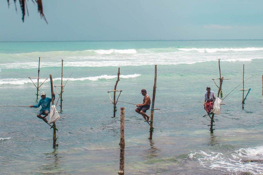 stilt fisherman Sri Lanka