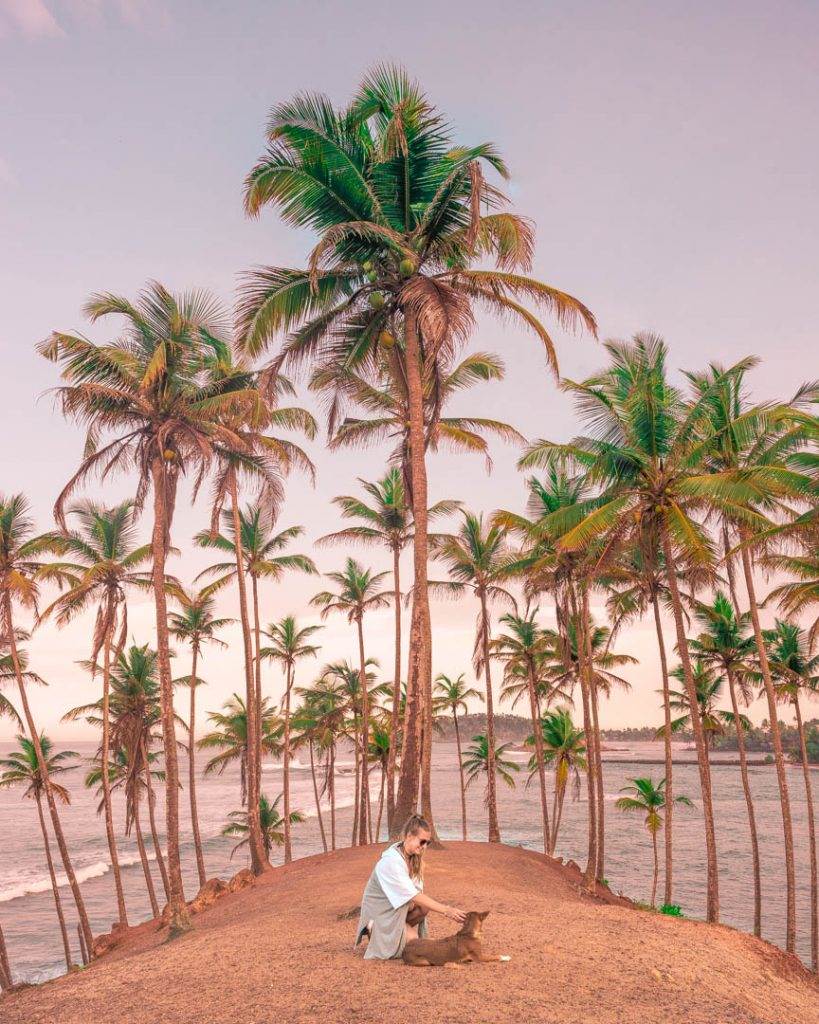 Sunrise at Coconut Tree Hill