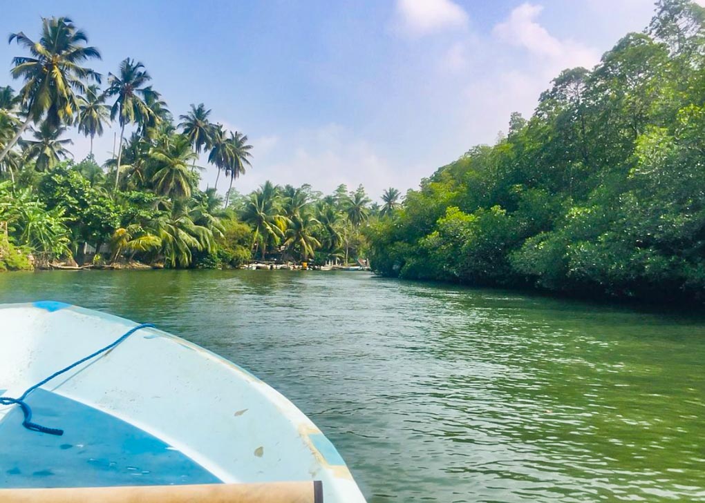 Madu river tour from Hikkaduwa
