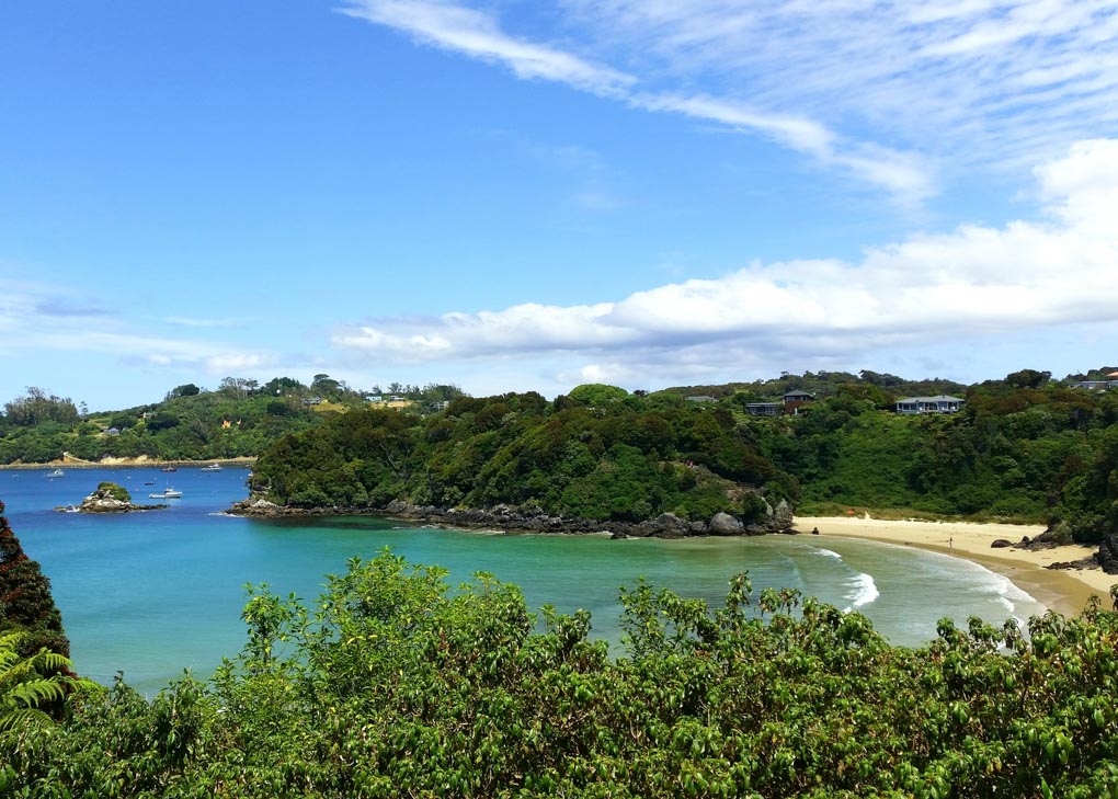 A beautiful beach on Stewart Island New Zealand