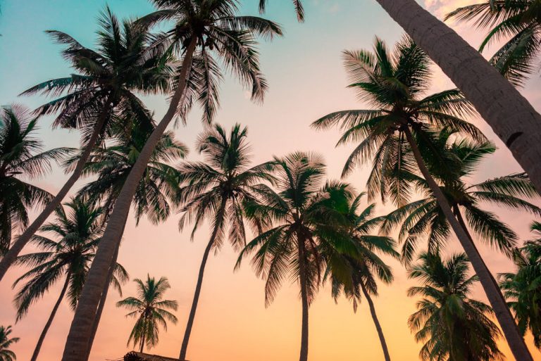 Nilaveli Beach Sri Lanka