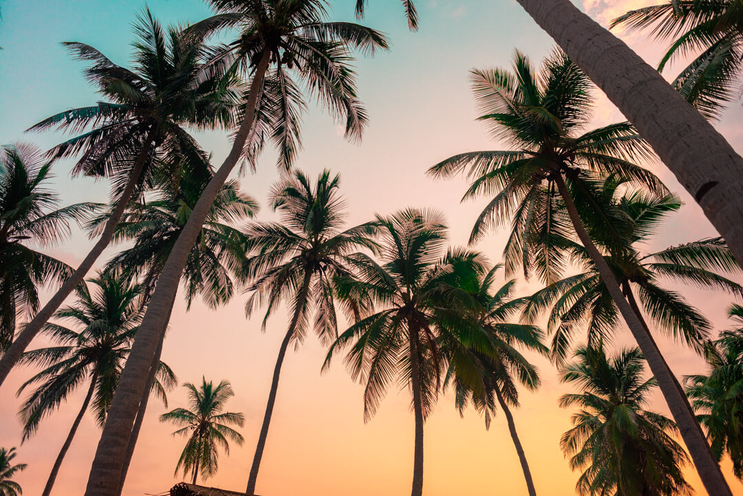 Nilaveli Beach Sri Lanka