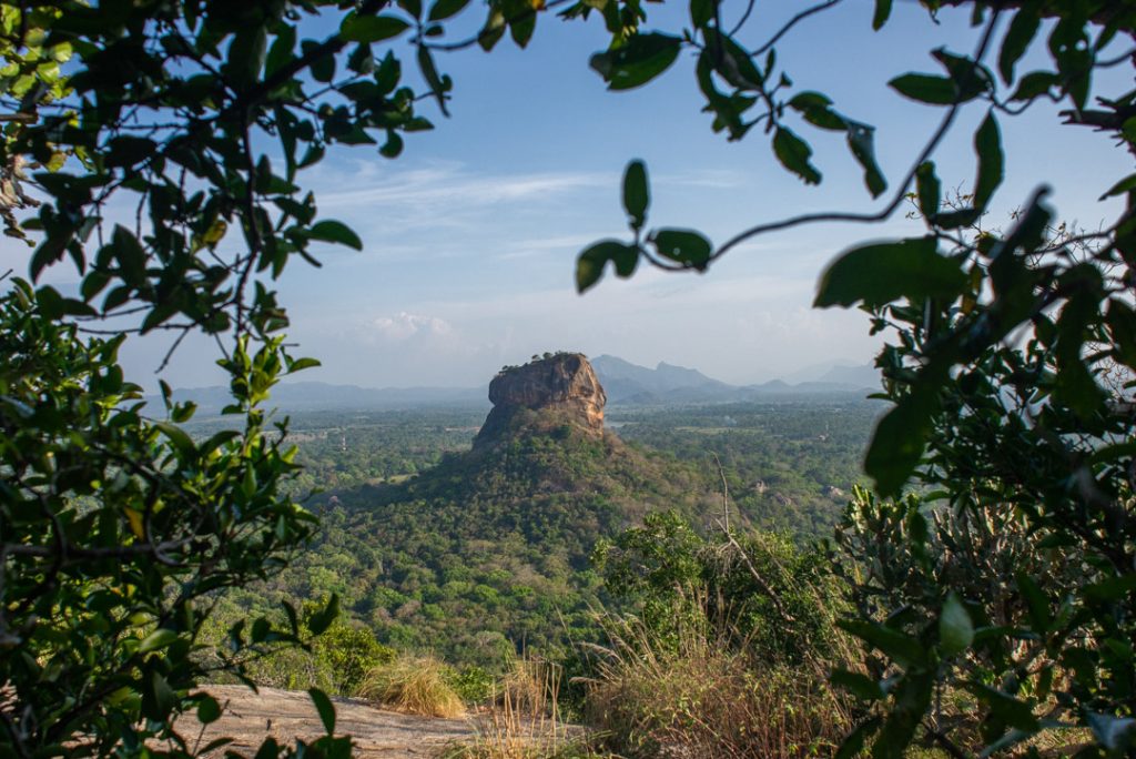 Looking over at Lion Rock/ Sigiriya Rock!