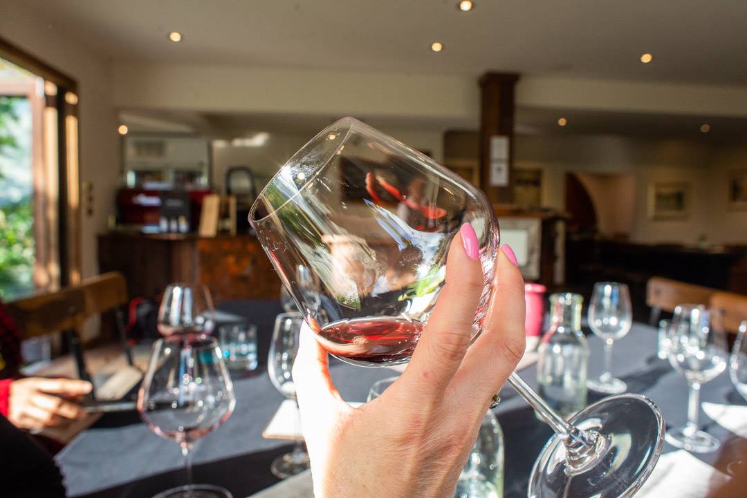 going on a wine and beer tour in the gibbston valley