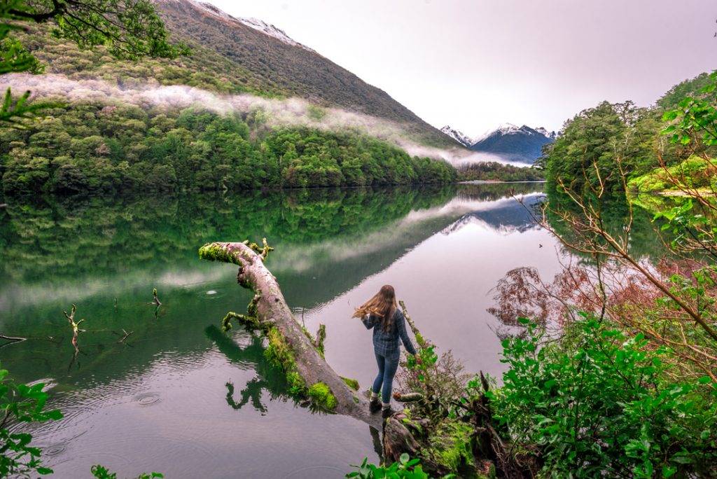 Lake Gun near Milford Sound