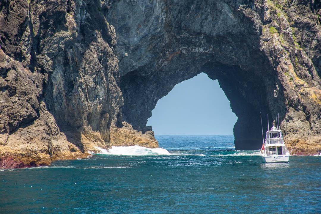 A boat sails through the Hole in Rock in the Bay of Islands, New Zealand