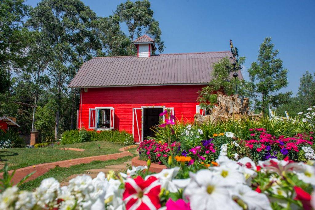coffee farm in pyin oo lwin is one of the best things to do in Mandalay
